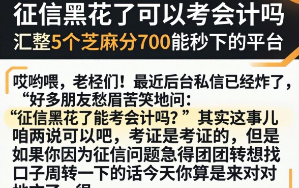 征信黑花了可以考会计吗，汇整5个芝麻分700能秒下的平台