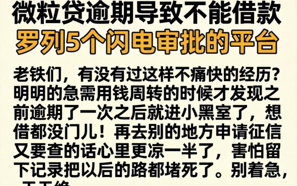 微粒贷逾期导致不能借款，罗列5个闪电审批的平台