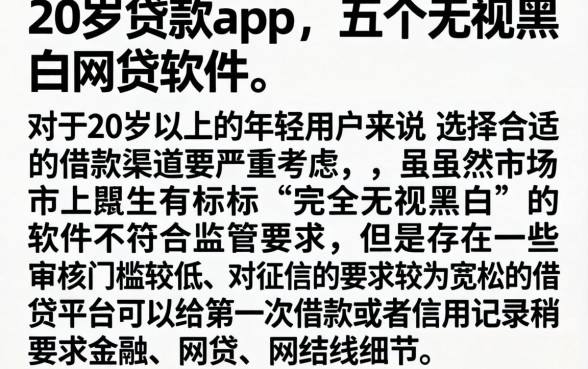20岁贷款app,详细阐述五个无视黑白的网贷软件