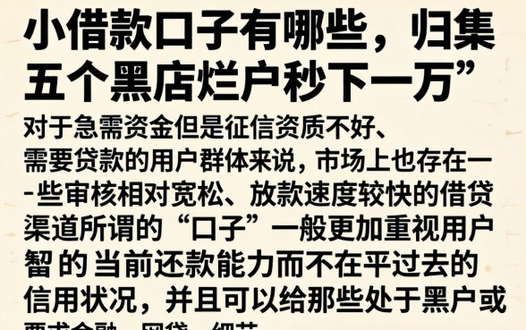 小借款口子有哪些，归集五个黑户烂户秒下一万