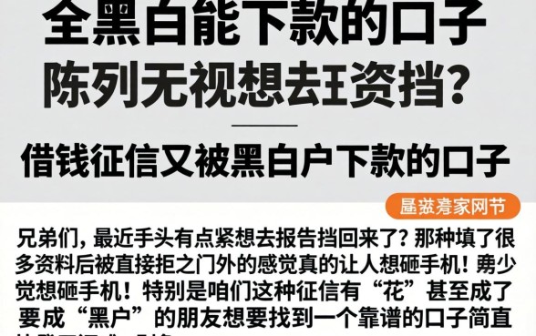 全黑能下款的口子，陈列五个无视黑白户下款的口子