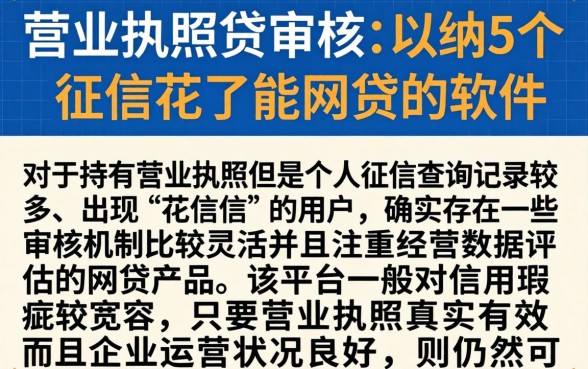 营业执照贷审核，归纳5个征信花了能网贷的软件