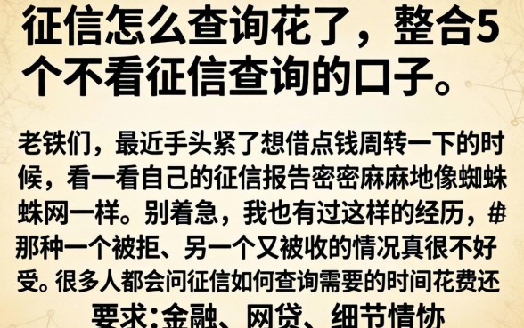 征信怎么查询花了，整合5个不看征信查询的口子