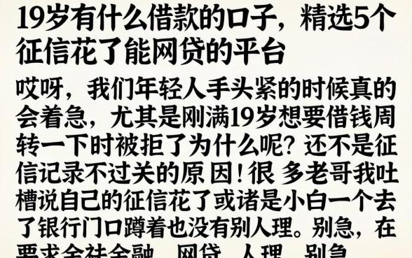 19岁有什么借款的口子，精选5个征信花了能网贷的平台