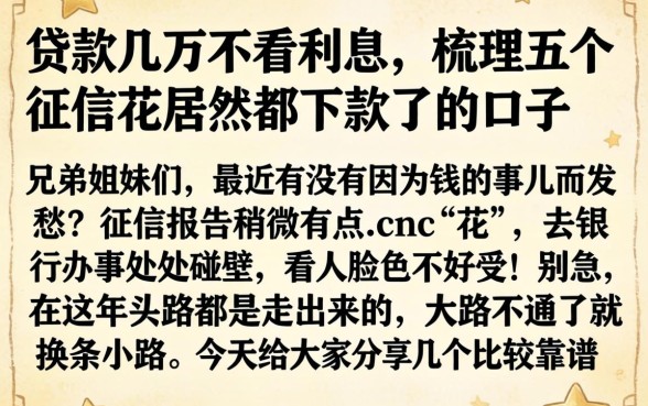 贷款几万不看利息，梳理五个征信花居然都下款了的口子