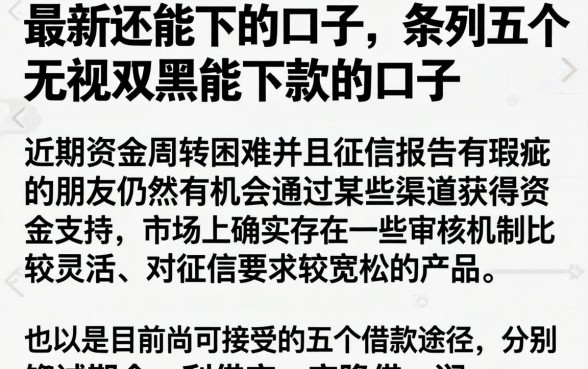 最新还能下的口子，条列五个无视双黑能下款的口子