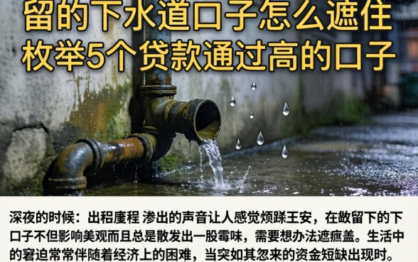 留的下水道口子怎么遮住，枚举5个贷款通过高的口子
