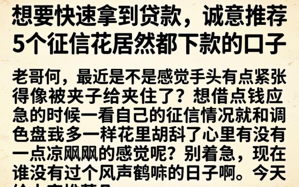 想要快速拿到贷款，诚意推荐5个征信花居然都下款的口子