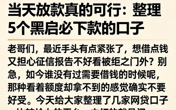 当天放款真的可行，整理5个黑户必下款的口子