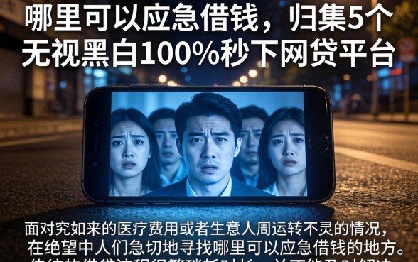 哪里可以应急借钱，归集5个无视黑白100%秒下网贷平台