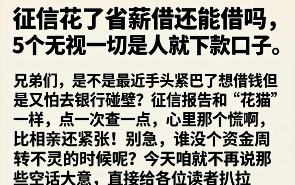 征信花了省薪借还能借吗，枚举5个无视一切是人就下款口子