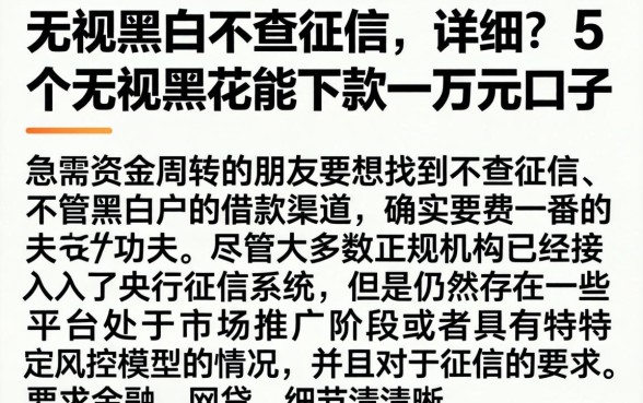 无视黑白不查征信,详细阐述5个无视黑花能下款一万元口子