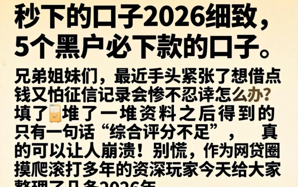 秒下的口子2026，细致阐述5个黑户必下款的口子