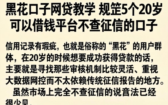 黑花口子网贷教学，规整5个20岁可以借钱平台不查征信的口子
