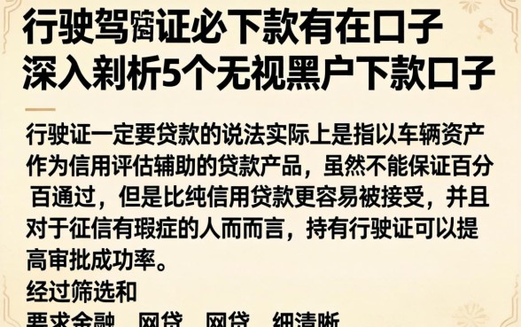 行驶证必下款的口子，深入剖析5个无视黑户下款口子