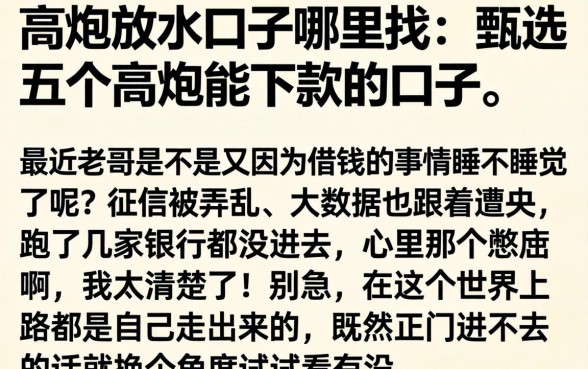 高炮放水口子哪里找,甄选五个高炮能下款的口子
