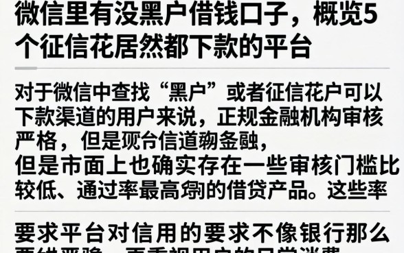 微信里有没黑户借钱口子，概览5个征信花居然都下款的平台