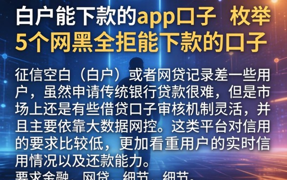 白户能下款的app口子,枚举5个网黑全拒能下款的口子