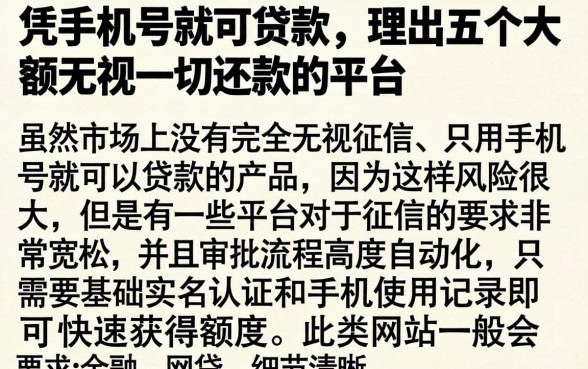 凭手机号就可贷款，理出五个大额无视一切还款的平台