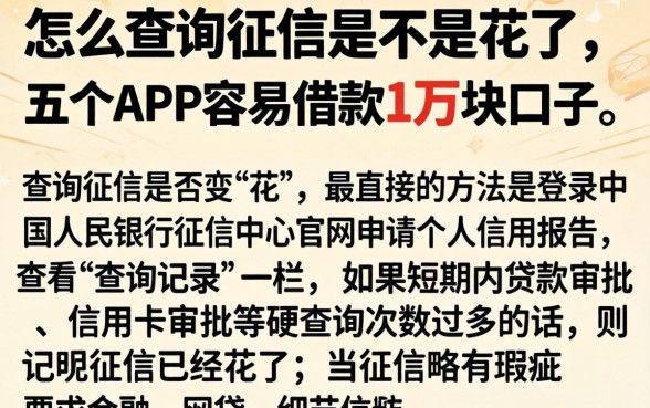 怎么查询征信是不是花了，概括五个APP容易借款1万块的口子