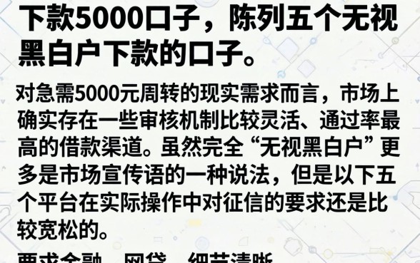 下款5000的口子，陈列五个无视黑白户下款的口子