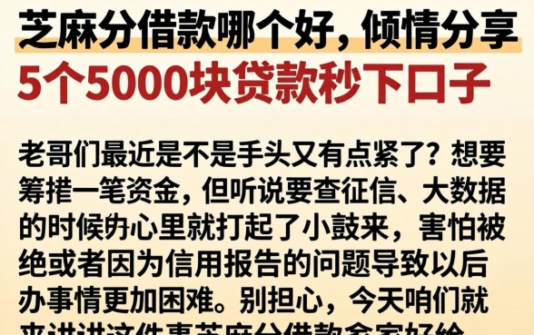 芝麻分借款哪个好，倾情分享5个5000块贷款秒下口子