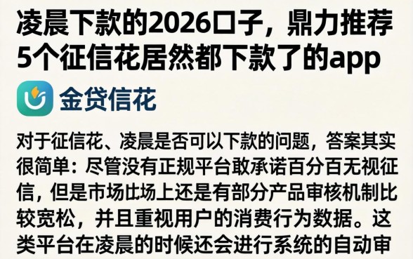 凌晨下款的2026口子，鼎力推荐5个征信花居然都下款了的app