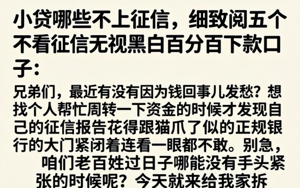 小贷哪些不上征信,细致阐述五个不看征信无视黑白百分百下款口子