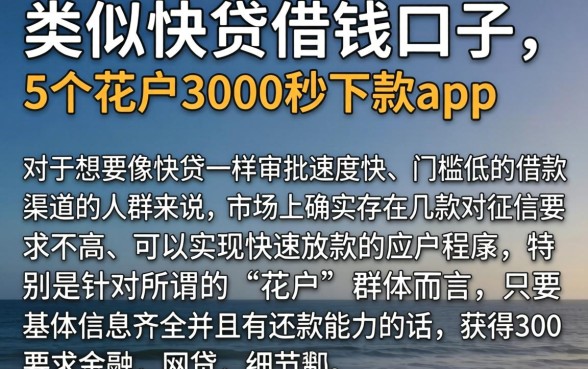 类似快贷借钱口子,详细阐述5个花户3000秒下款app