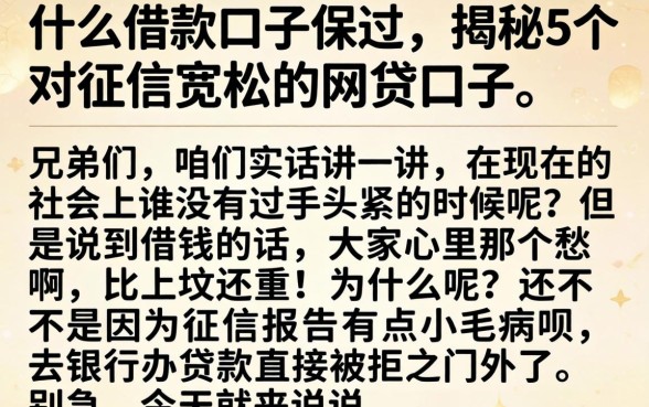 什么借款口子保过，揭秘5个对征信宽松的网贷口子