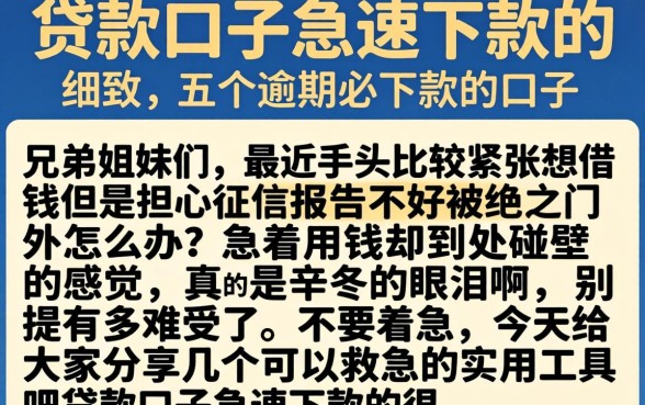 贷款口子急速下款的，细致阐述五个逾期必下款的口子