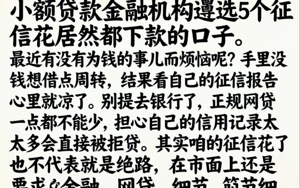 小额贷款金融机构，遴选5个征信花居然都下款的口子