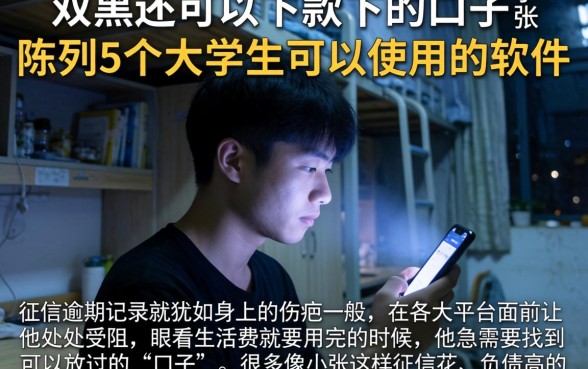 双黑还可以下款下的口子，陈列5个大学生可以使用的软件