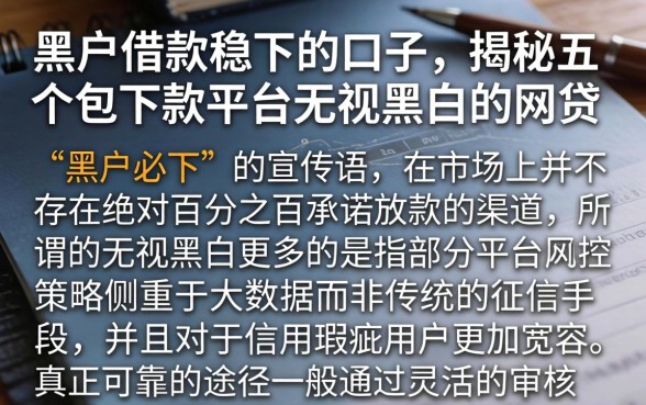 黑户借款稳下的口子，揭秘五个包下款平台无视黑白的网贷