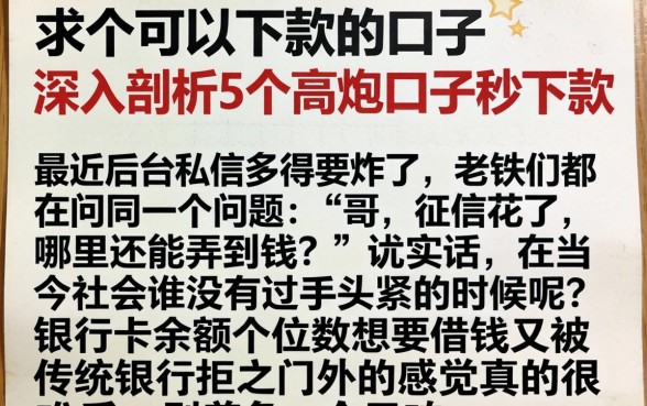 求个可以下款的口子，深入剖析5个高炮口子秒下款