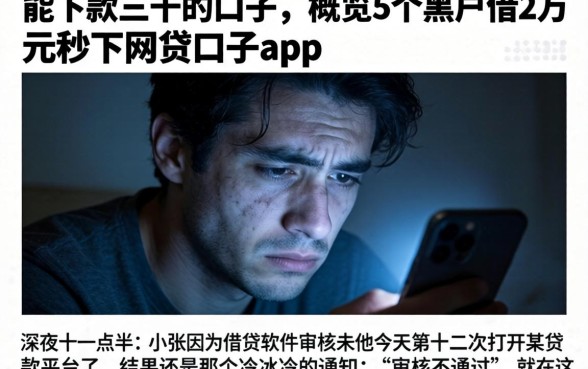 能下款三千的口子,概览5个黑户借2万元秒下网贷口子app
