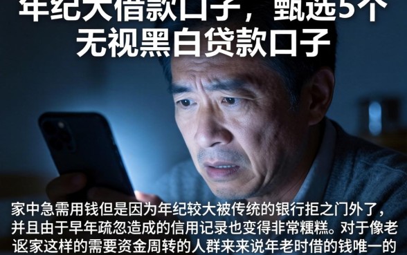 年纪大借款的口子，甄选5个无视黑白贷款口子