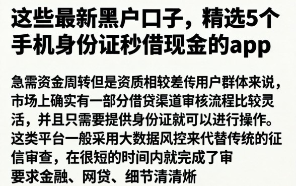 这些最新黑户口子，精选5个手机身份证秒借现金的app