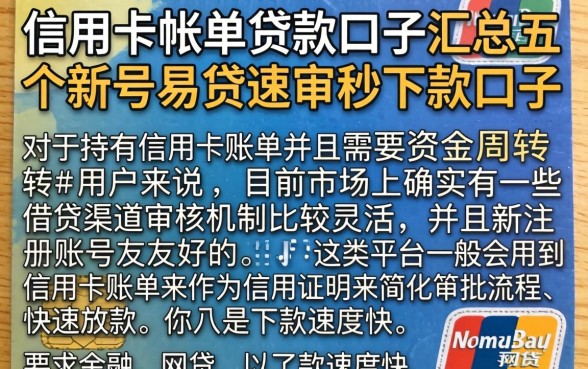信用卡帐单贷款口子,汇总五个新号易贷速审秒下款口子
