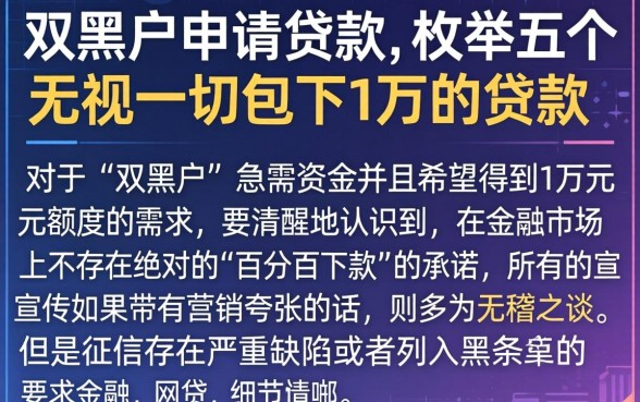 双黑户申请贷款，枚举五个无视一切包下1万的贷款
