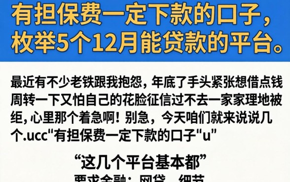 有担保费一定下款的口子，枚举5个12月能贷款的平台