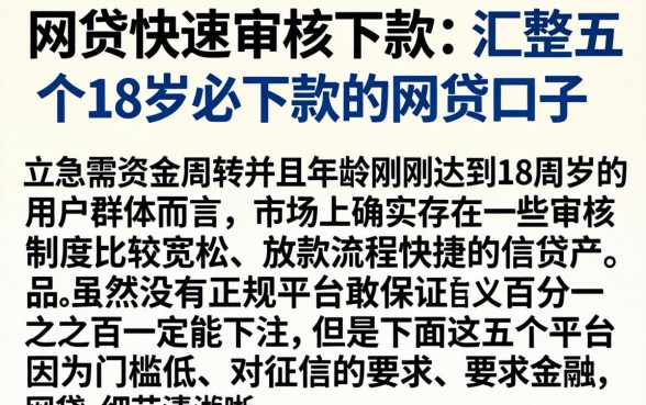 网贷快速审核下款，汇整五个18岁必下款的网贷口子