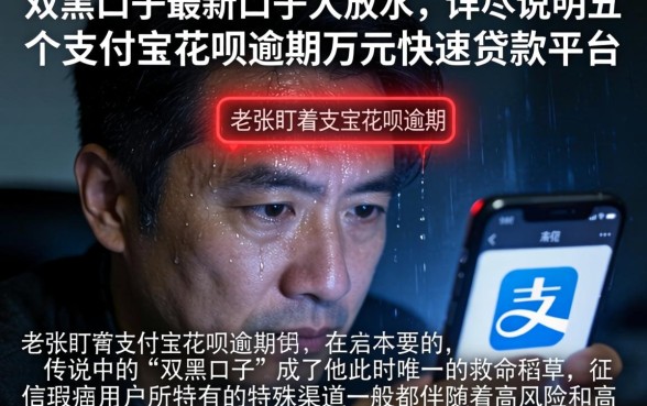 双黑口子最新口子大放水，详尽说明五个支付宝花呗逾期万元快速贷款平台