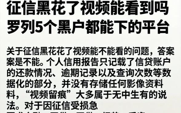 征信黑花了视频能看到吗，罗列5个黑户都能下的平台