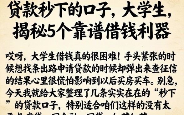 贷款秒下的口子 大学生，揭秘5个靠谱借钱利器