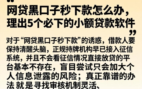 网贷黑口子秒下款怎么办，理出5个必下的小额贷款软件