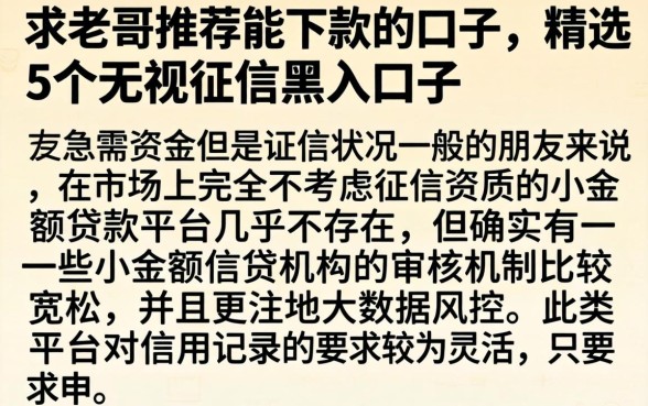 求老哥推荐能下款的口子，精选5个无视征信黑户口子