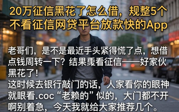 20万征信黑花了怎么借，规整5个不看征信网贷平台放款快的app