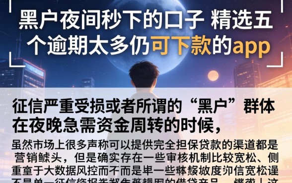 黑户夜间秒下的口子，精选五个逾期太多仍可下款的app