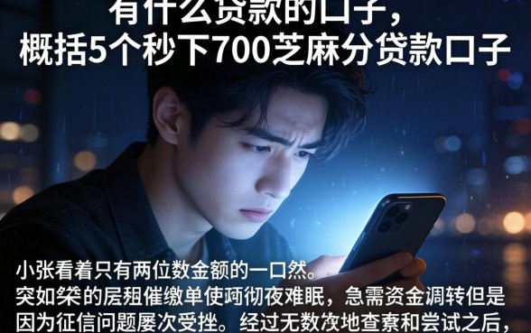有什么贷款的口子，概括5个秒下700芝麻分贷款口子